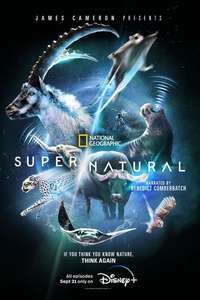Super/Natural - Posters