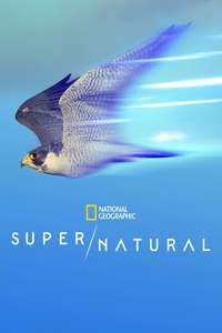 Super/Natural - Posters