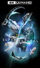 Super/Natural