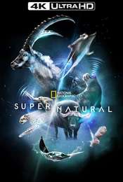 Super/Natural