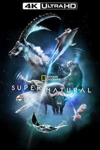 Super/Natural - Posters