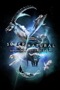 Super/Natural - Posters
