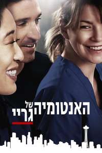 Grey's Anatomy - Posters