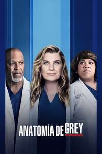 Grey's Anatomy - Posters