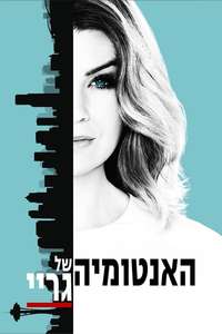 Grey's Anatomy - Posters