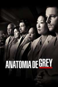 Grey's Anatomy - Posters