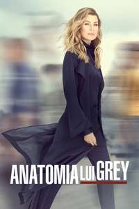 Grey's Anatomy - Posters