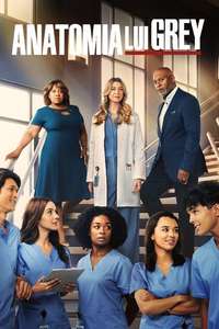 Grey's Anatomy - Posters