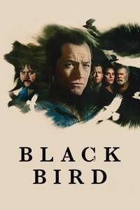 Black Bird - Posters