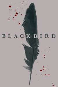 Black Bird - Posters