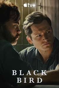 Black Bird - Posters