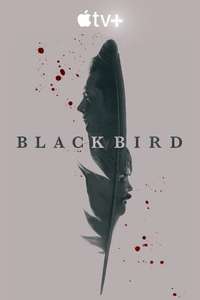 Black Bird - Posters