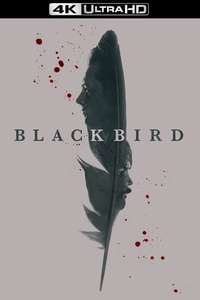 Black Bird - Posters