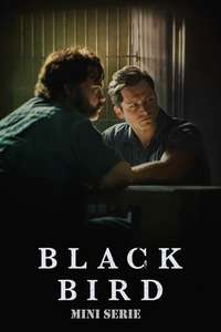 Black Bird - Posters