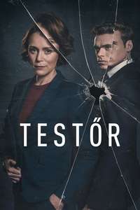 Bodyguard - Posters