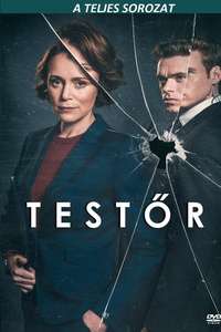 Bodyguard - Posters