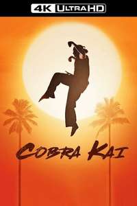 Cobra Kai - Posters