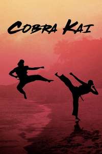 Cobra Kai - Posters
