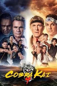 Cobra Kai - Posters