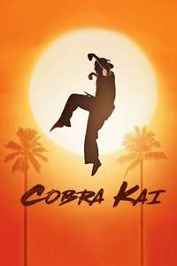 Cobra Kai - Posters