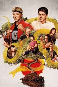 Cobra Kai - Posters
