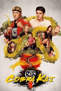 Cobra Kai - Posters