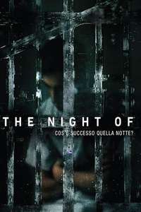 The Night Of - Posters