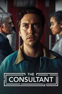 The Consultant - Posters