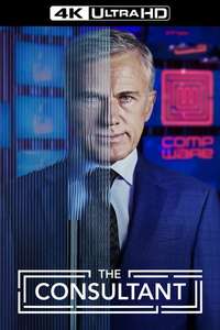 The Consultant - Posters