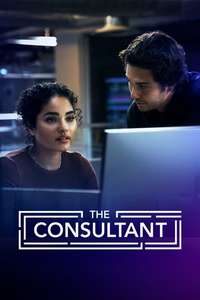 The Consultant - Posters