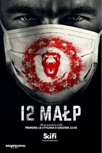 12 Monkeys - Posters