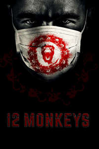 12 Monkeys - Posters