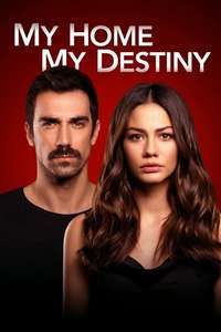 My Home My Destiny - Posters