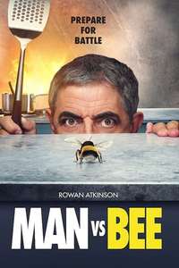 Man Vs Bee - Posters