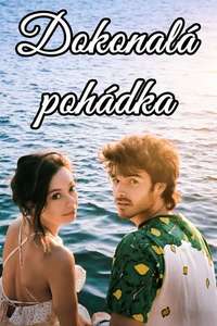 A Perfect Story - Posters