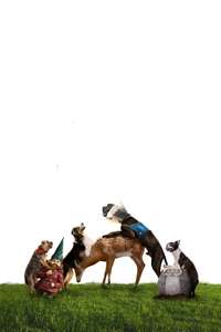 Strays - Posters