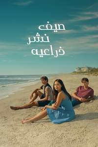 The Summer I Turned Pretty - Posters