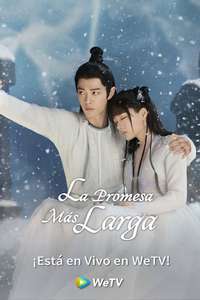 The Longest Promise - Posters