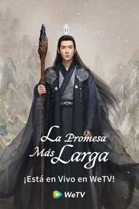 The Longest Promise - Posters