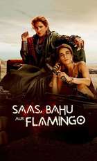 Saas  Bahu Aur Flamingo