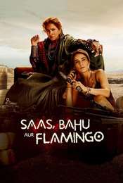 Saas  Bahu Aur Flamingo