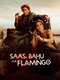 Saas  Bahu Aur Flamingo