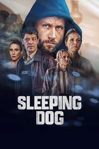 Sleeping Dog - Posters