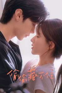 Hidden Love - Posters