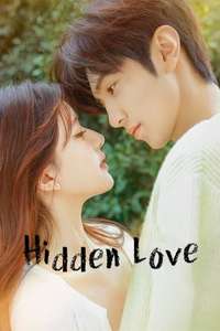 Hidden Love - Posters