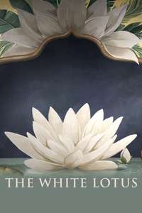 The White Lotus - Posters