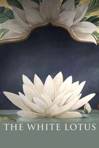 The White Lotus - Posters