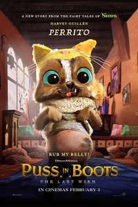 Puss in Boots: The Last Wish - Posters