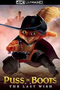 Puss in Boots: The Last Wish - Posters