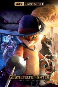 Puss in Boots: The Last Wish - Posters